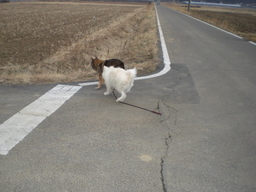 �Ԃǐ^�񒆂̗��ւ�