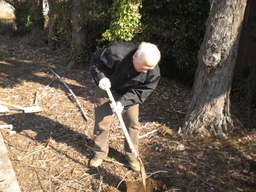 �Ԃǐ^�񒆂̗��ւ�