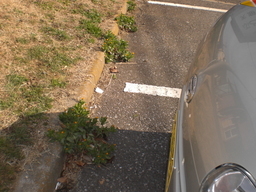 �Ԃǐ^�񒆂̗��ւ�