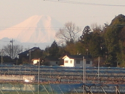 �Ԃǐ^�񒆂̗��ւ�