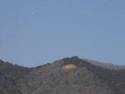 �Ԃǐ^�񒆂̗��ւ�