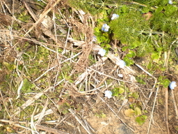 �Ԃǐ^�񒆂̗��ւ�