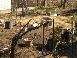 �Ԃǐ^�񒆂̗��ւ�