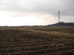 �Ԃǐ^�񒆂̗��ւ�