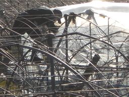 �Ԃǐ^�񒆂̗��ւ�