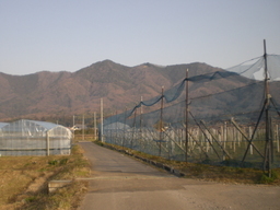 �Ԃǐ^�񒆂̗��ւ�