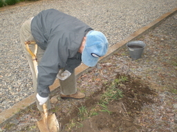 �Ԃǐ^�񒆂̗��ւ�