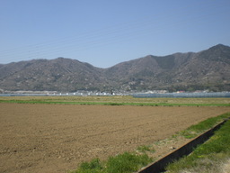 �Ԃǐ^�񒆂̗��ւ�