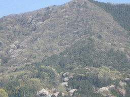 �Ԃǐ^�񒆂̗��ւ�