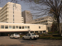 �Ԃǐ^�񒆂̗��ւ�