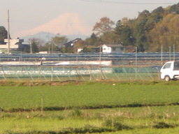 �Ԃǐ^�񒆂̗��ւ�