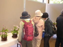 �Ԃǐ^�񒆂̗��ւ�