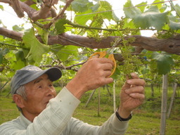 �Ԃǐ^�񒆂̗��ւ�