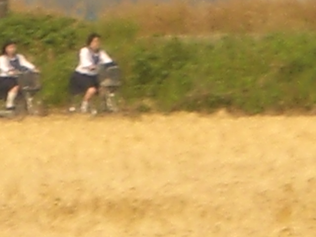 �Ԃǐ^�񒆂̗��ւ�