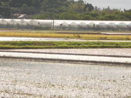 �Ԃǐ^�񒆂̗��ւ�