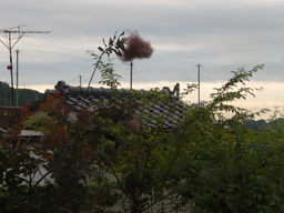 �Ԃǐ^�񒆂̗��ւ�