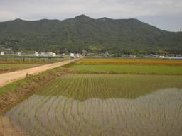 �Ԃǐ^�񒆂̗��ւ�