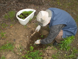 �Ԃǐ^�񒆂̗��ւ�