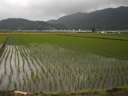 �Ԃǐ^�񒆂̗��ւ�