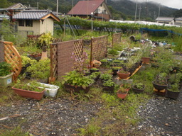 �Ԃǐ^�񒆂̗��ւ�