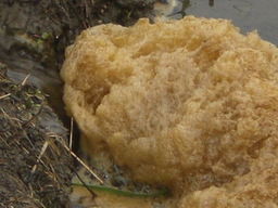 �Ԃǐ^�񒆂̗��ւ�