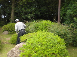 �Ԃǐ^�񒆂̗��ւ�