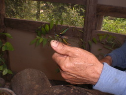 �Ԃǐ^�񒆂̗��ւ�