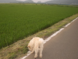 �Ԃǐ^�񒆂̗��ւ�