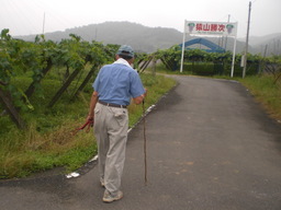 �Ԃǐ^�񒆂̗��ւ�