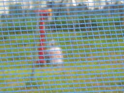 �Ԃǐ^�񒆂̗��ւ�