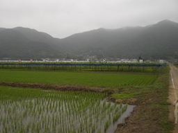 �Ԃǐ^�񒆂̗��ւ�