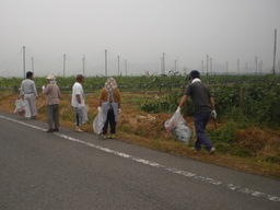 �Ԃǐ^�񒆂̗��ւ�