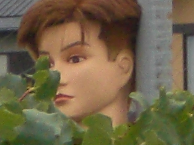 �Ԃǐ^�񒆂̗��ւ�