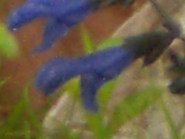 �Ԃǐ^�񒆂̗��ւ�