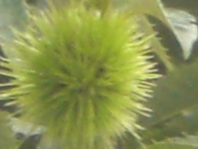 �Ԃǐ^�񒆂̗��ւ�