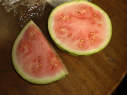 �Ԃǐ^�񒆂̗��ւ�