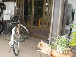 �Ԃǐ^�񒆂̗��ւ�