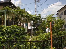 �Ԃǐ^�񒆂̗��ւ�