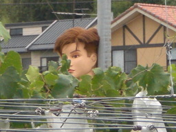 �Ԃǐ^�񒆂̗��ւ�