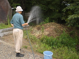 �Ԃǐ^�񒆂̗��ւ�