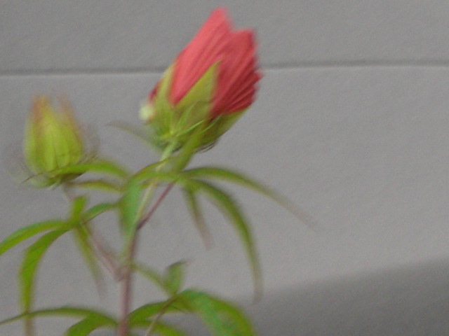 �Ԃǐ^�񒆂̗��ւ�