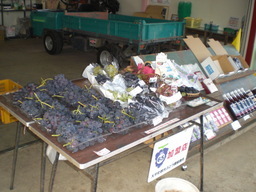 �Ԃǐ^�񒆂̗��ւ�