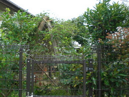 �Ԃǐ^�񒆂̗��ւ�