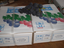 �Ԃǐ^�񒆂̗��ւ�