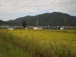 �Ԃǐ^�񒆂̗��ւ�