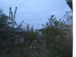 �Ԃǐ^�񒆂̗��ւ�