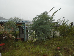 �Ԃǐ^�񒆂̗��ւ�