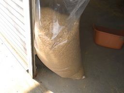 �Ԃǐ^�񒆂̗��ւ�