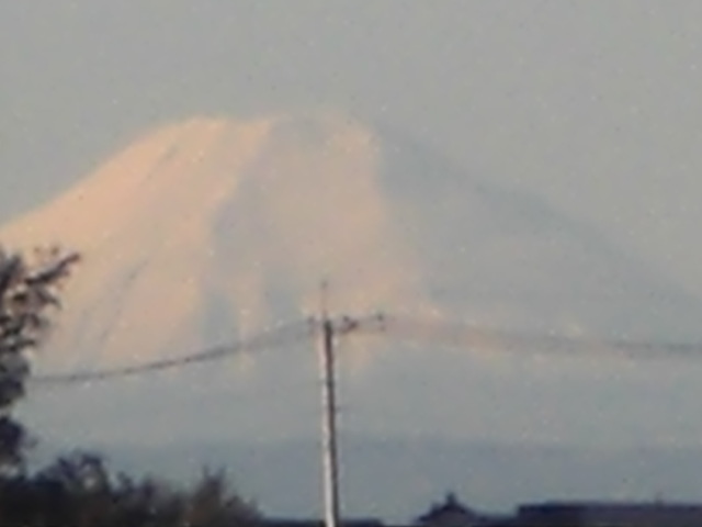 �Ԃǐ^�񒆂̗��ւ�