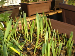 �Ԃǐ^�񒆂̗��ւ�